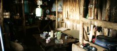 Das[br]Refugio I